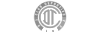 Logo de la marca CD Toluca